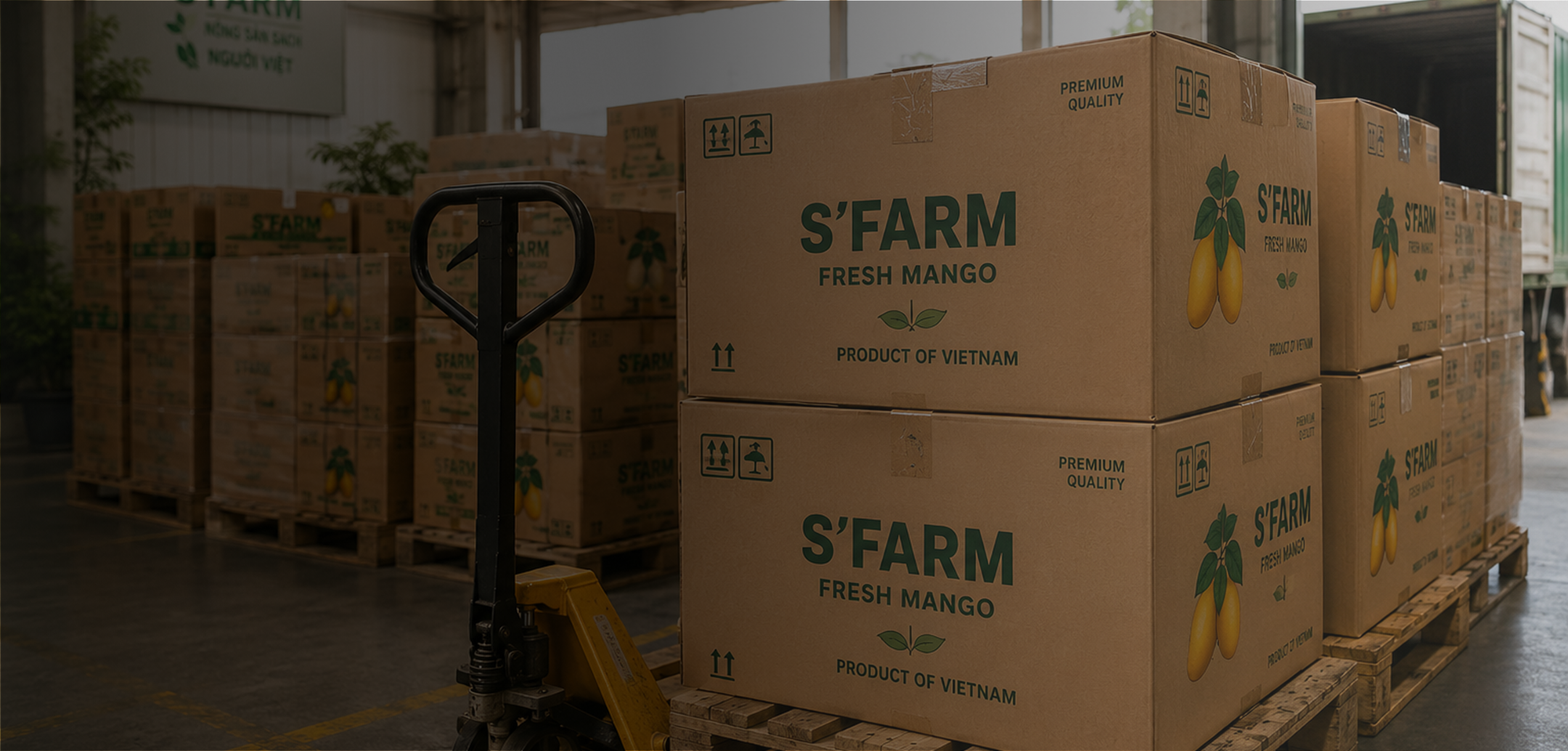 Supply