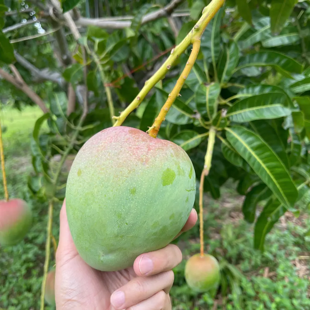 Trang chủ