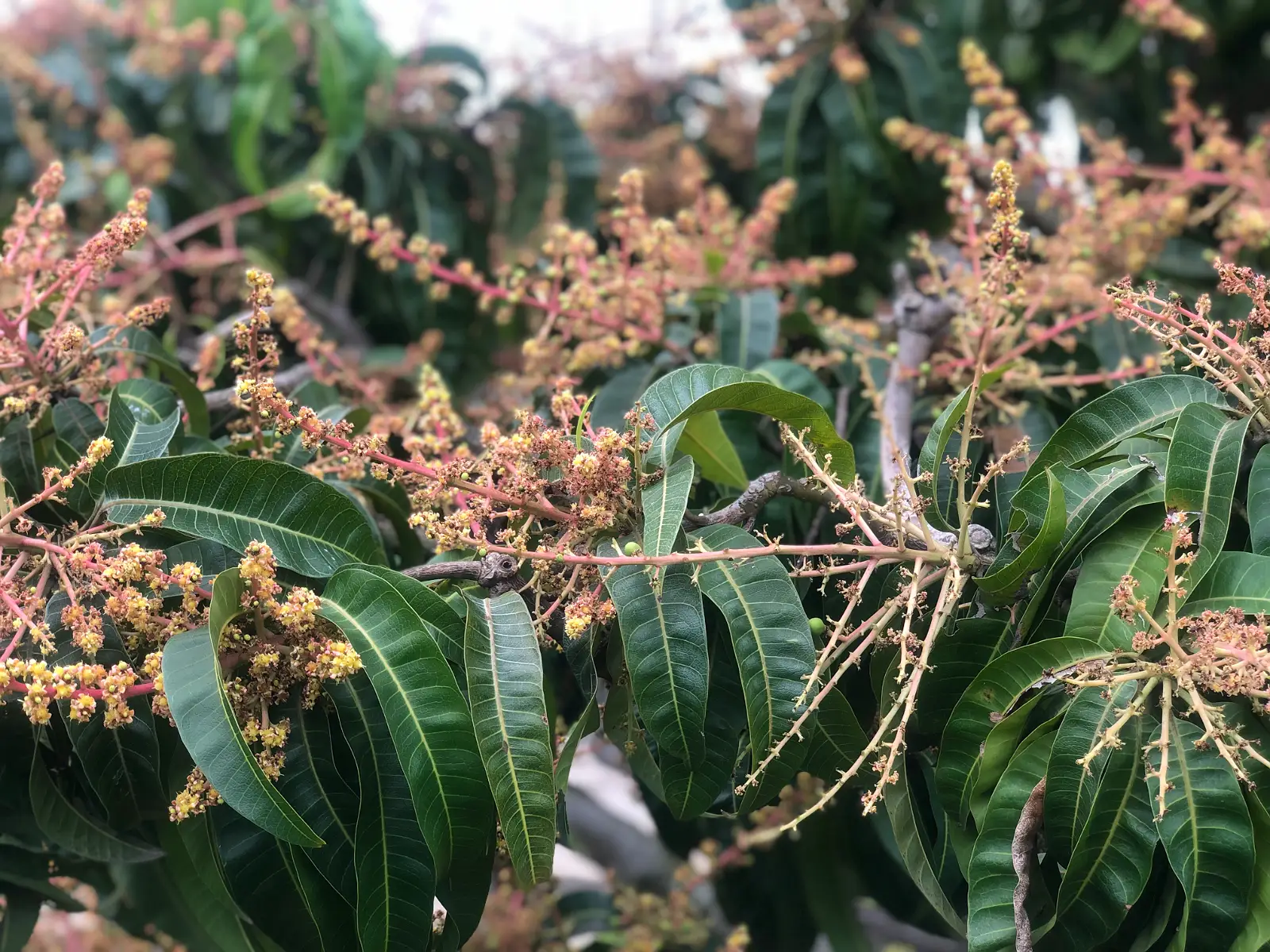 Origin